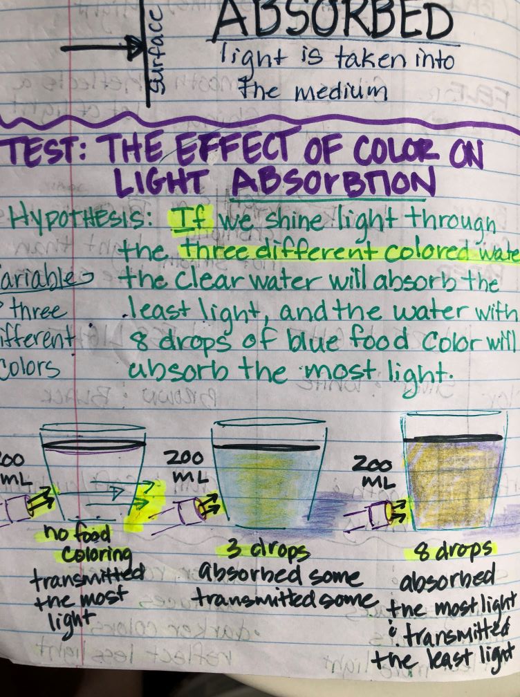 interactive science notebook light absorbtion lab and detailed observational notes